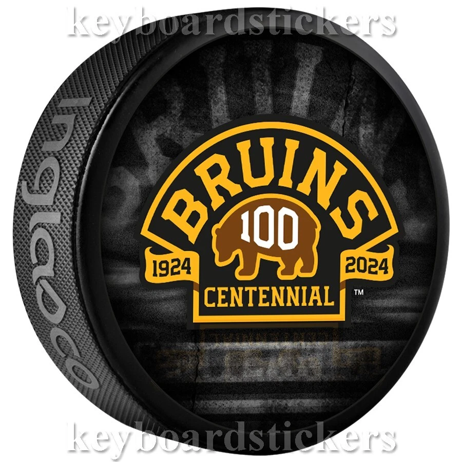 Inglasco Boston Bruins Hockey Puck