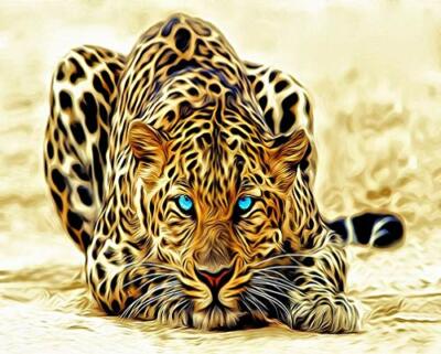 Toudorp Malen nach Zahlen Set 16x20 cm Leinwandbild - heftiger Leopard 