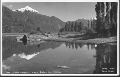 Peulla, Chile - Todos Los Santos See - RP Postkarte um 1950
