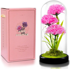 QUELIEN Carnation Flowers Gifts for Mom,Pink Artificial Carnation in Glass Dome