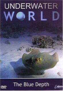 The Blue Depth [2007] [DVD] von not specified | DVD | Zustand sehr gut