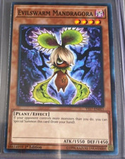 Yugioh! Evilswarm Mandragora - YS17-EN011 - Common - 1st Edition Near Mint, Engl