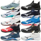 Mizuno Wave Momentum 2 Unisex Volleyball Shoes Indoor Trainers