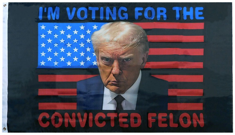 Trump-Flagge 'Don't Blame Me I Voted For Trump' – Doppelseitig, Polyester, 3x5 Fuß, Für Innen & Außen