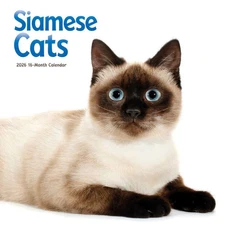 Carousel Calendars,  Siamese Cats 2026 Wall Calendar, 12'' X 12'', 16-Month Cale