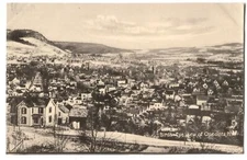 Postcard Bird's Eye View Oneonta NY 