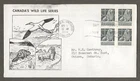 Canada first day cover, 335, Walrus block of 4 , unusual cachet [102