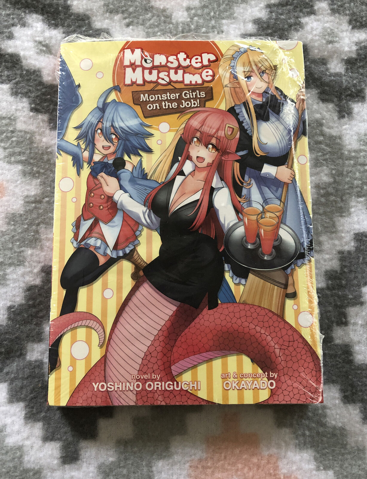 A Monster Musume Light Novel!  Monster Musume Monster Girls On