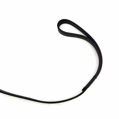 Gucci Collar & Leash Dog Leather Black Silver Metal 049_0412 w/Box
