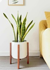 Acccity Up To 10 Inch Planter Plant Stand Display Wood Flower Pot Mid Century Ho For Sale Online Ebay