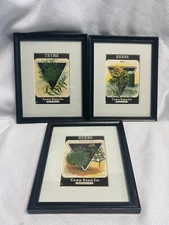 Lot of 3 Antique Card Seed Co. Fredonia N.Y. Matted And Framed Herb Seed Packets