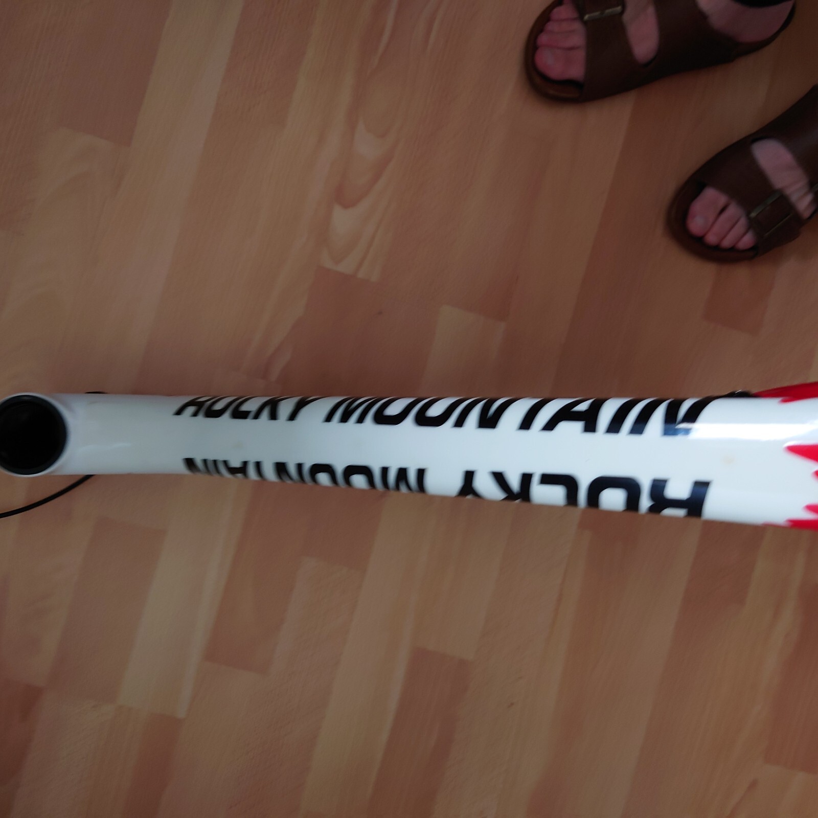 rocky mountain element frame