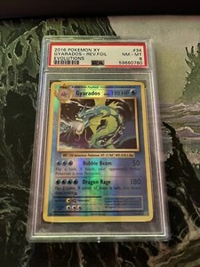 2016 POKEMON XY Evolutions #34 GYARADOS Reverse Foil PSA 8 NM-MT  