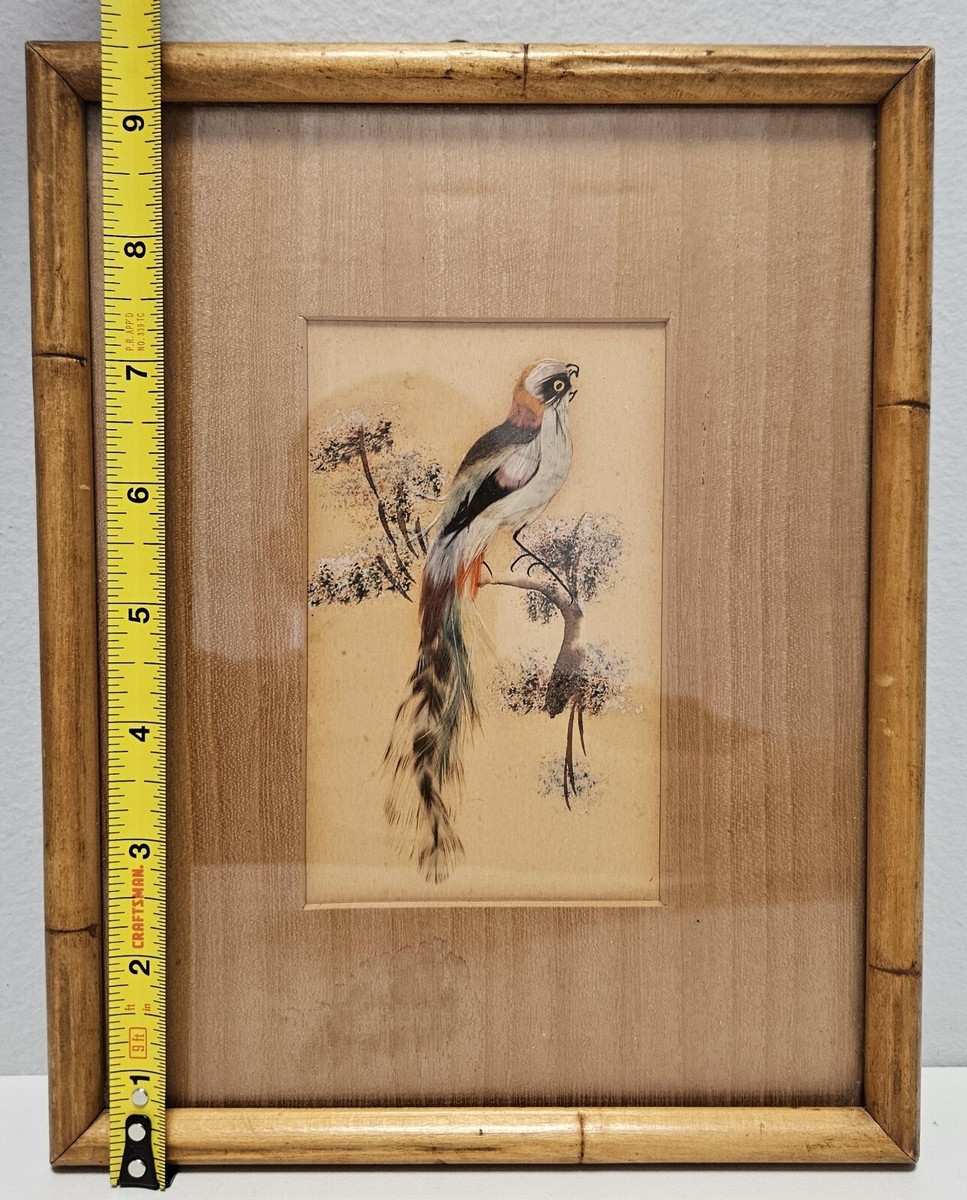 セール！ Feather and Brush：オーストラリア鳥類芸術300年 Feather and Brush: A History of Australian Bird Art: Olsen