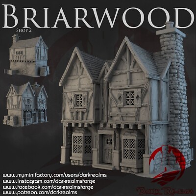 Dark Realms Briarwood Shop 2 Gebäude Pathfinder, Herr der Ringe, Tabletops