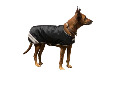 Horse Guard Hundedecke Thermodecke Regendecke Mantel schwarz Reflektor Pulli