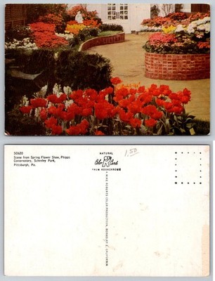 Phipps Conservatory Spring Flower Show Pittsburgh PA Postcard Kodachrome Tulips