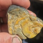 3 Piece Lot, South Dakota Prairie Agate Rough Lapidary/Cabbing Colors 10.9 oz — photo 6
