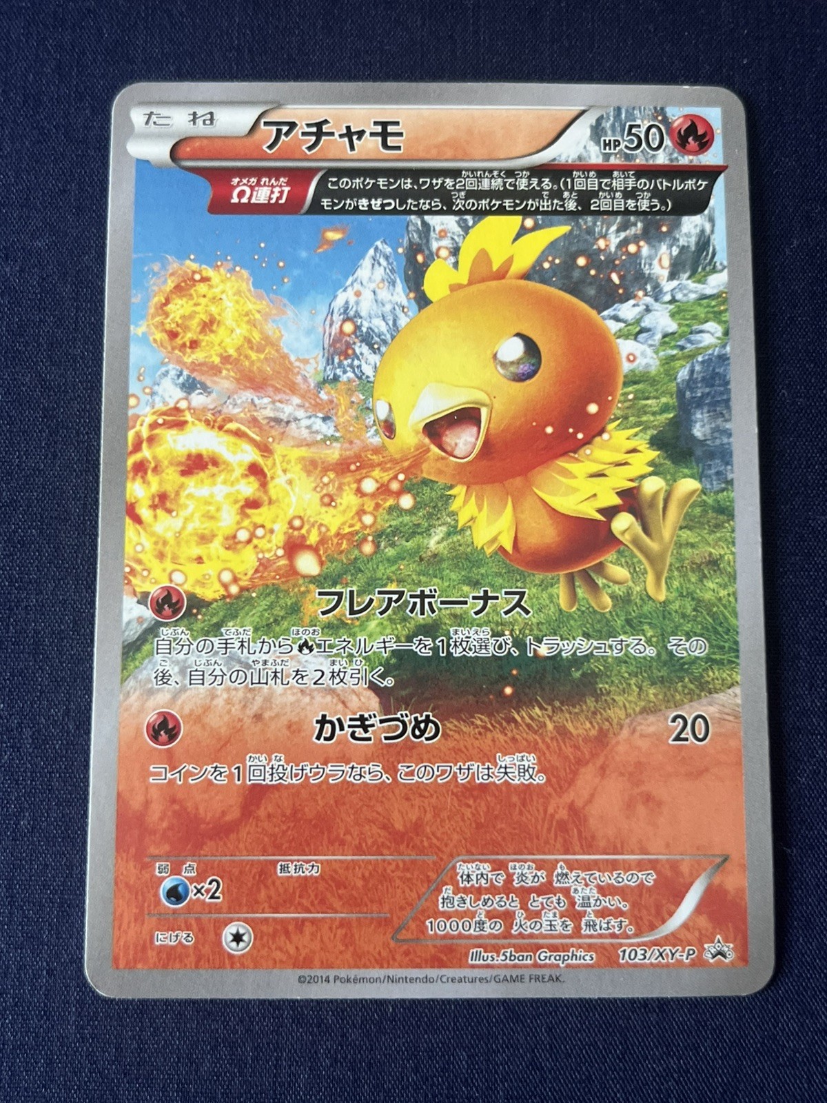 Torchic 103/XY-P Lightly Played Japanese Promo Pokemon TCG