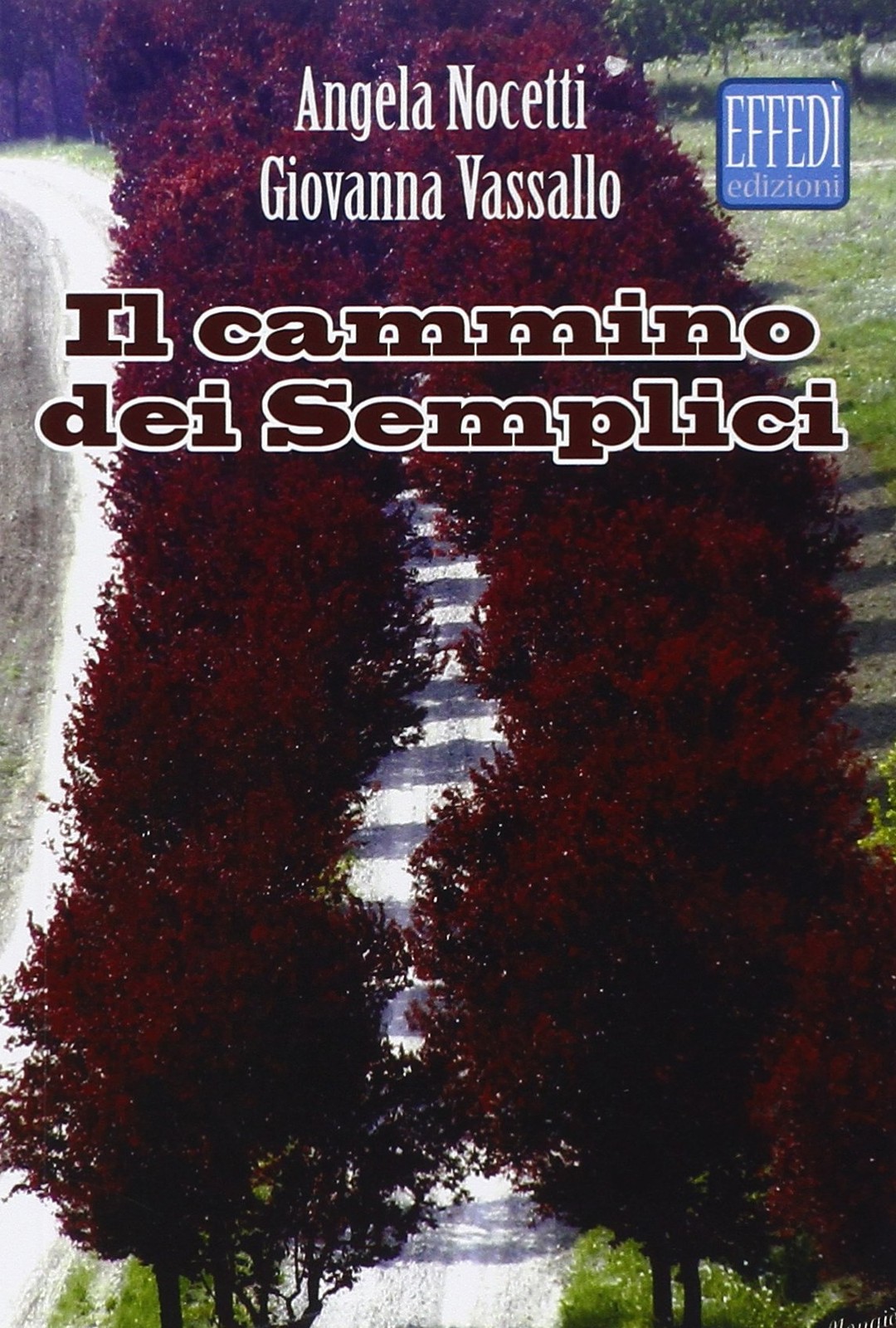 Джованна Вассалло, Анджела Ночетти и камино деи сампличи (в мягкой обложке) (ИМПОРТ из Великобритании)