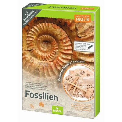 Expedition Natur Das große Fossilien-Ausgrabungs-Set