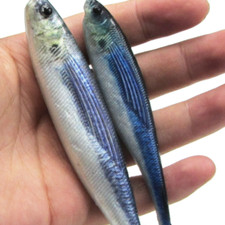4PCS 12.5cm/16cm Soft Bait 3D Printing Lifelike Tuna Mackerel Fishing Lure