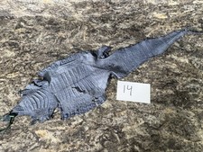 Blue Genuine Caiman Crocodile Hide Leather Skin real alligator Croc 14