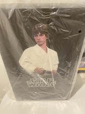 Hot Toys Luke Skywalker Star Wars A New Hope 1 6 Figure MMS297 Special Edition