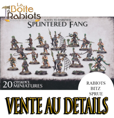 SF・ファンタジー・ホラー Warhammer AoS SLAVE TO DARKNESS Slaves to Darkness Dark Slave Lord Warhammer Chaos army AOS