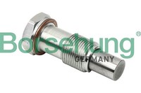 NEU - Borsehung B1T014 Spanner, Steuerkette FüR Audi Seat Skoda VW