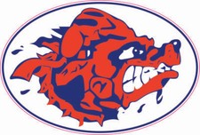 Waterboy Movie Inspired Mini Football Helmet Decals