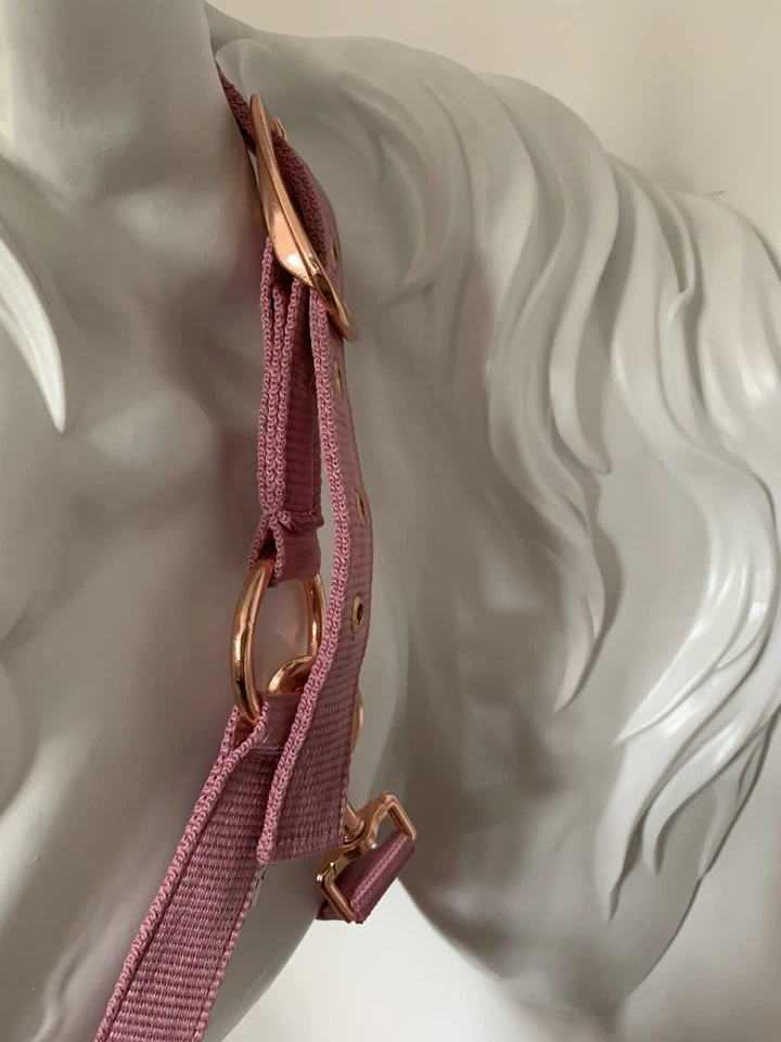 Headcollar and Lead Rope Set, Rose Gold & Pink, COB, FREE UK Postage - Image 3 of 4