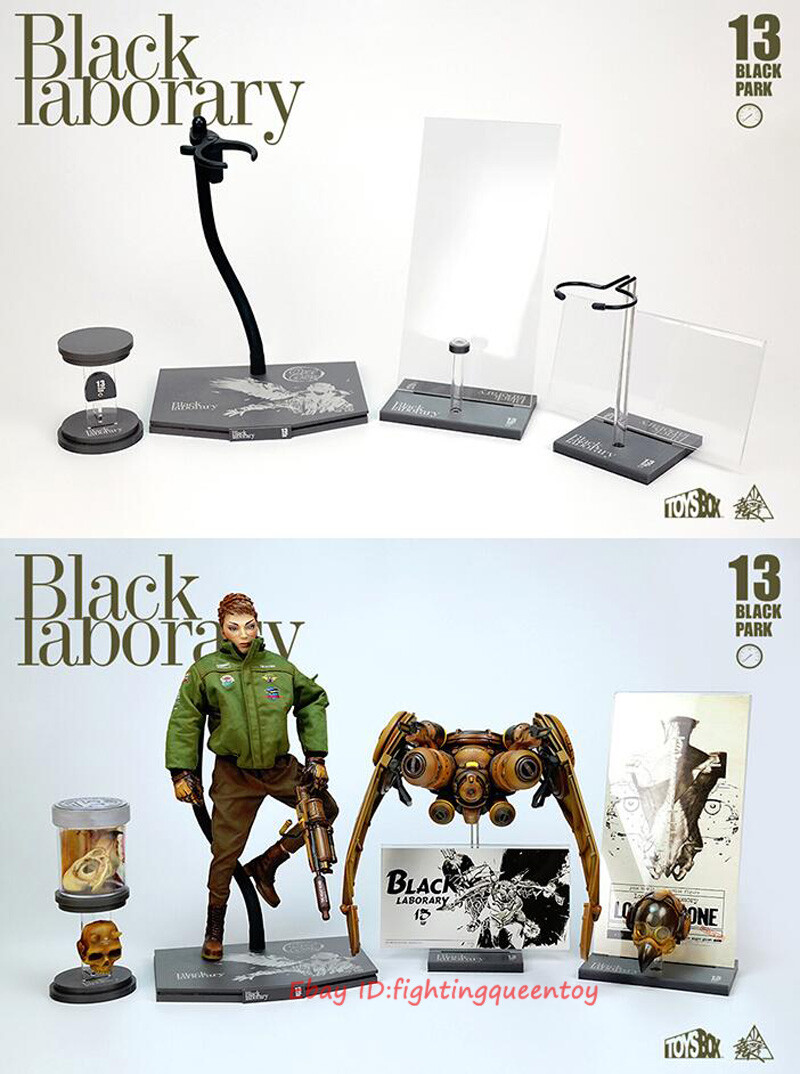BLACK 13 PARK ホワイトイーグル 1/6 限定 アクションフィギュア BLACK 13 PARK B13 Eagle 1/6 Accessories Display Set No Figure