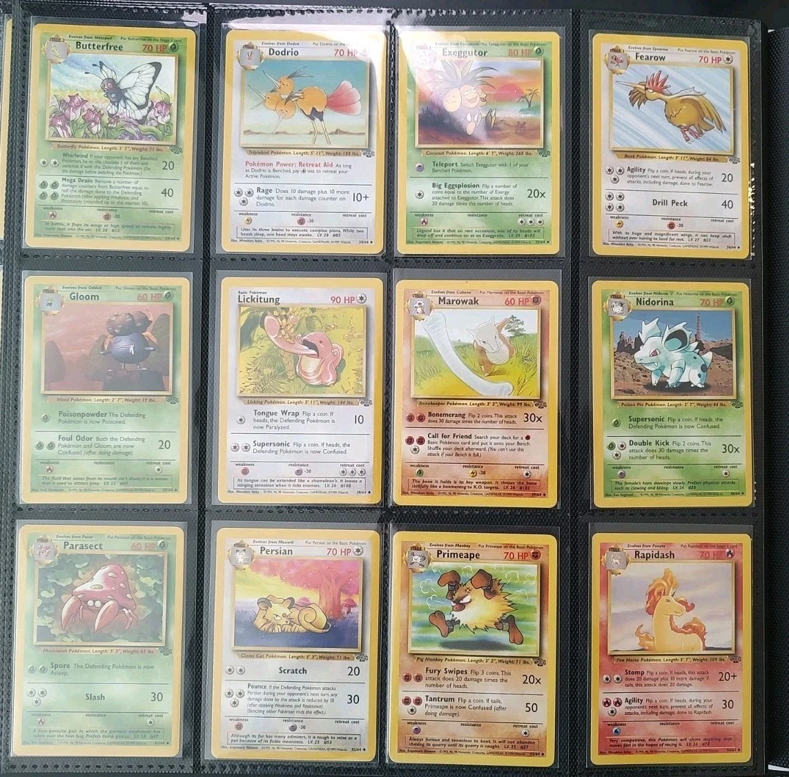 japanese pokemon jungle booster box Pokémon Booster Box Jungle – TCGPlayer Japan