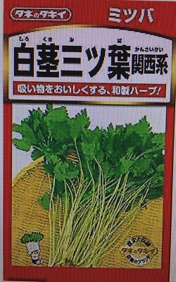 USA FreeShip 20-gram 8500 MITSUBA Japanese Parsley Seeds 三つ葉 압
