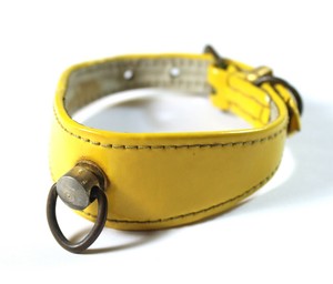yellow leather dog collar