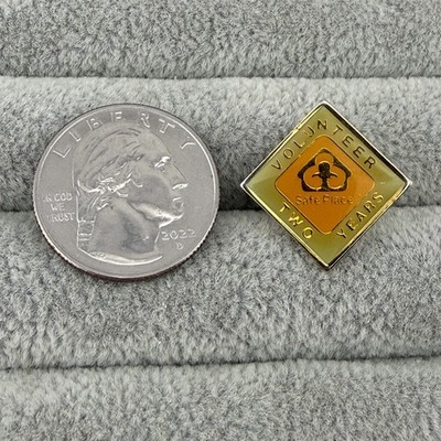 Project Safe Place Volunteer Two Year Service Award Pin Pinback #64191