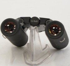 Swarovski 10x25 CL Pocket Binoculars (Anthracite, Wild Nature Field Bag)