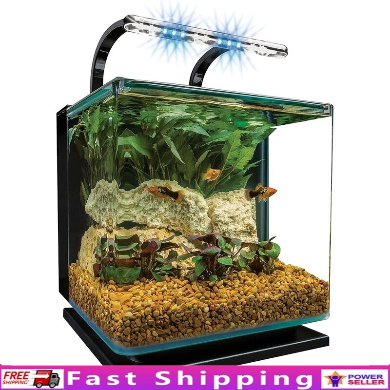 Modern 3-Gallon Aquarium Kit with LED Lighting & Hidden Filtration – Sleek Rounded Design