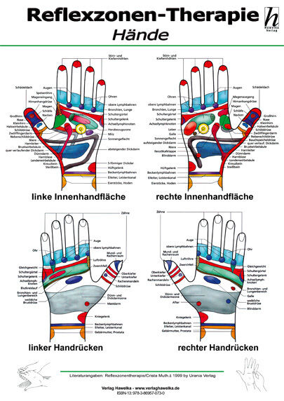 Thumbnail - Reflexzonen-therapie Mini-poster - Hände Din A4