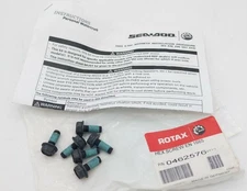 BRP ROTAX OEM Hex Screws EN 1665 Fastener (Qty 6) 0462576
