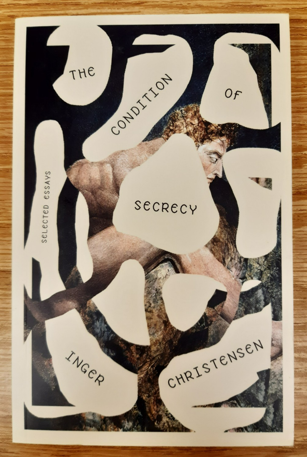 The Condition of Secrecy by Inger Christensen
