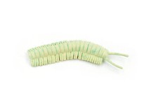 Millipede, Cave, Plastic Toy Insect Kids Gift, Realistic Figure, Gift, 3" F763