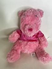 Disney Store Winnie The Pooh Pretty Hot Pink Plush Stuffed Animal Toy
