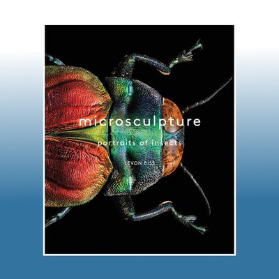 Microsculpture | Levon Biss