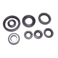 Dichsatz Motordichtringe Motor Dichtung FüR Yamaha Yfm 660 Rs Bj. 2004