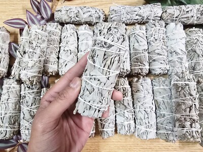 California White Sage for Smudging 4 Inch Sticks Organic Sage for Cleansing