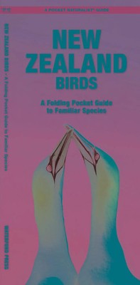 New Zealand Birds | A Folding Pocket Guide to Familiar Species | Englisch | 2018