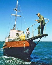 1975 Thriller Film JAWS Glossy 8x10 Photo Steven Spielberg Print