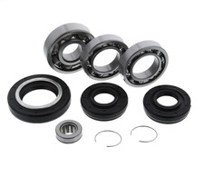 Bearing & Seal Kit for Honda FourTrax 300 TRX300 1988 - 2000 Front Differential
